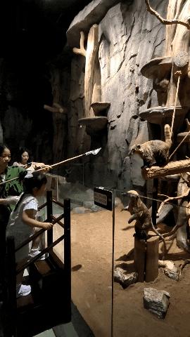 DƬ